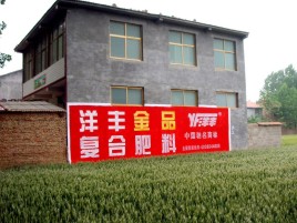 马山如何让墙体广告展现最大化效果